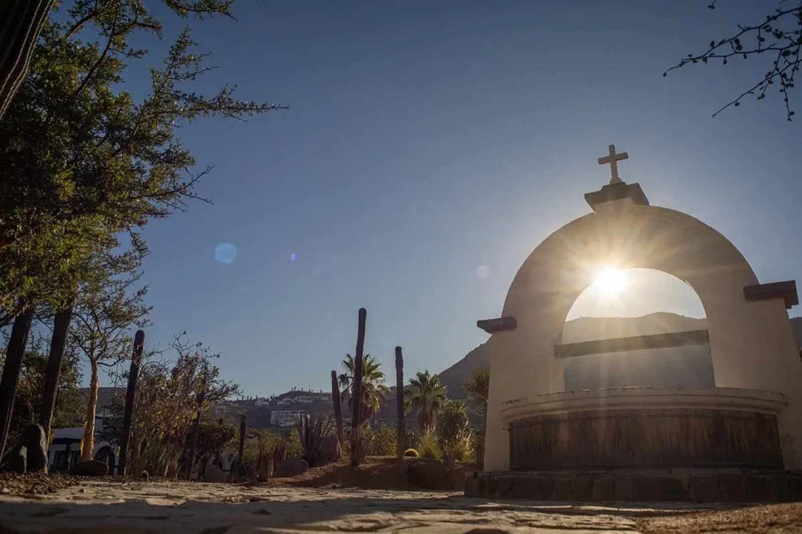 Orchid House Baja & Beach Club