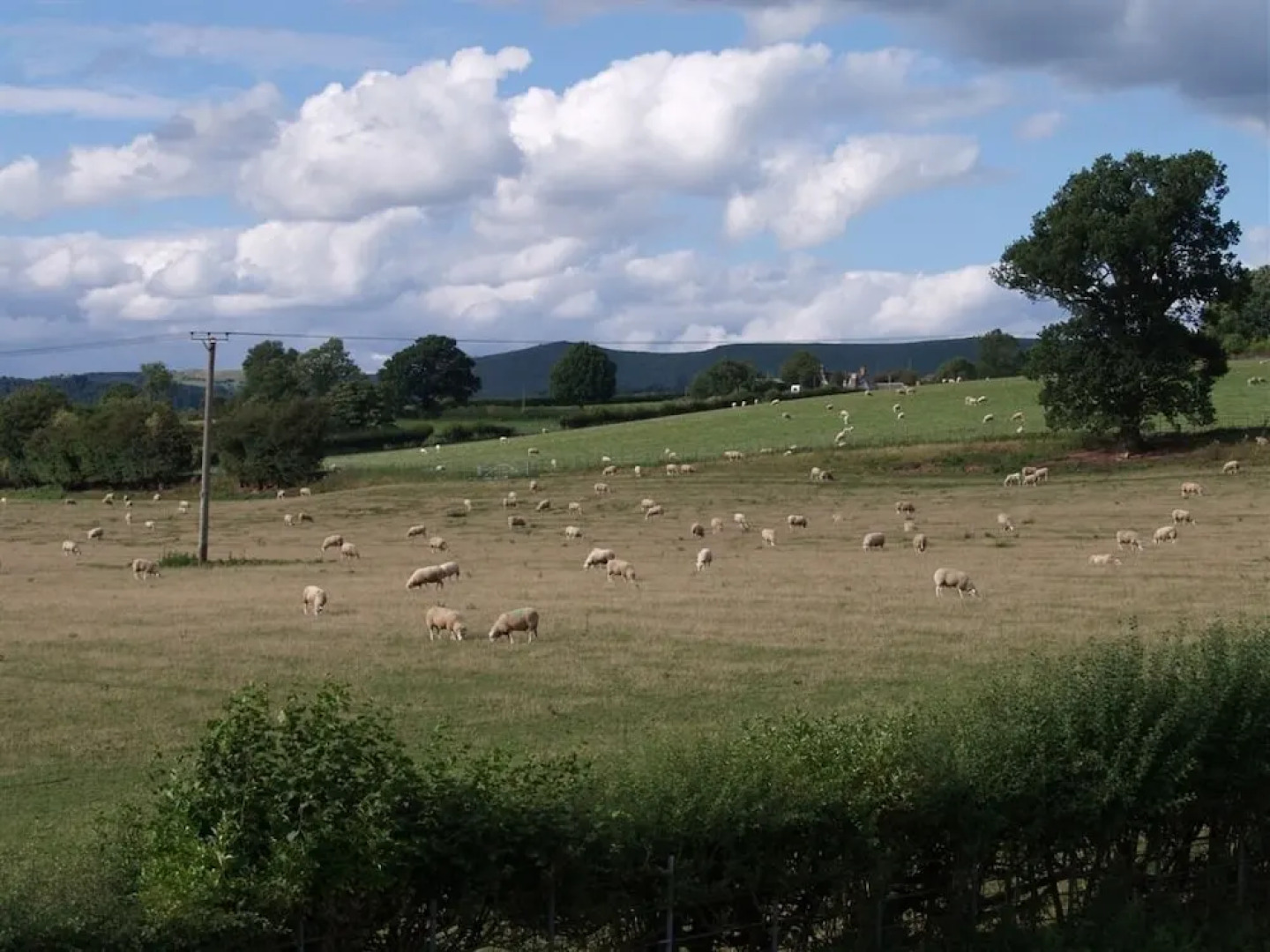 Exmoor Bed & Breakfast