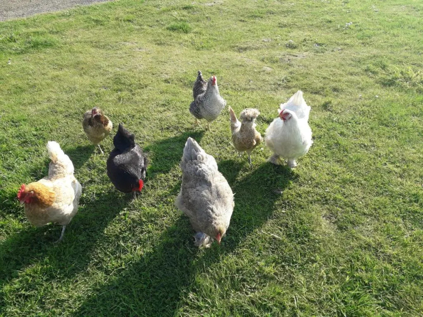 Mon petit coin de Bretagne