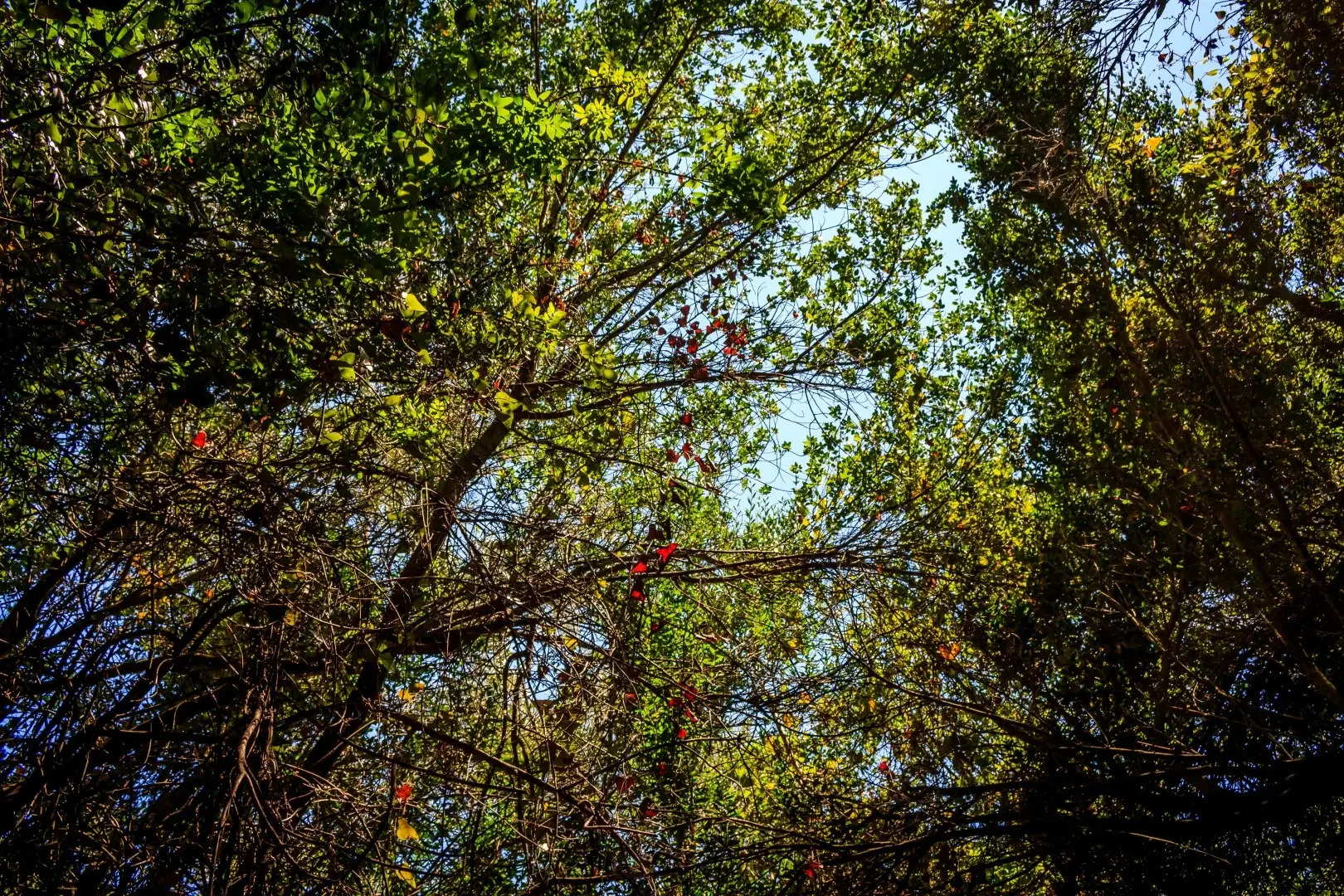 Porto Gerakas Villas & Apartments