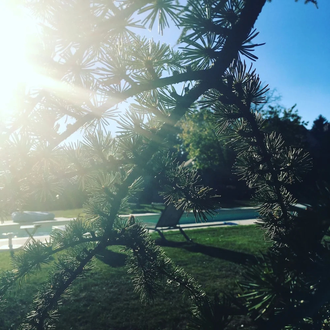 Les Couleurs du Verger