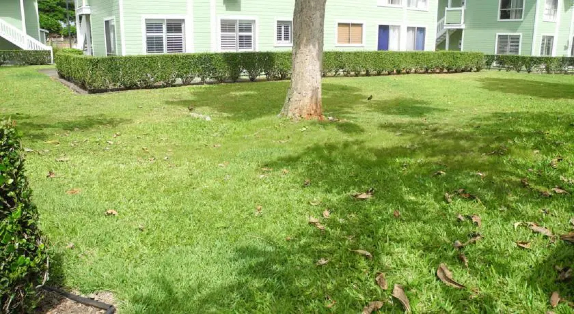 Shirleys Townhouse in Mililani