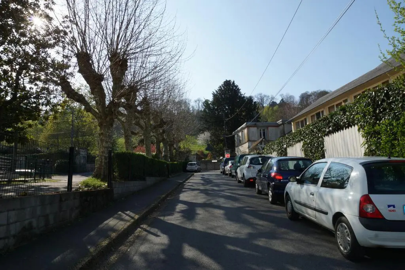 La salamandre