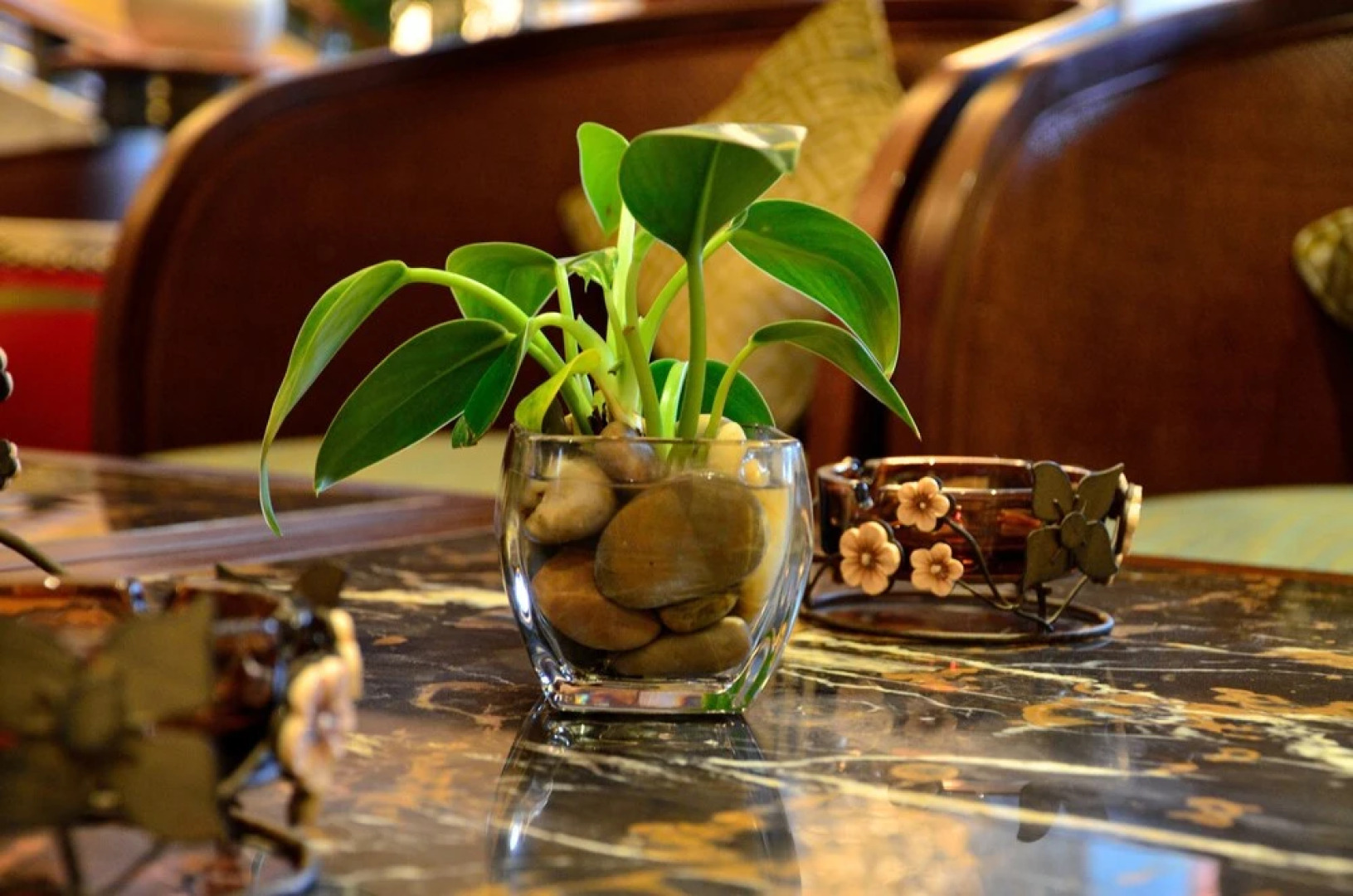 Yuyao Yangming Hot Spring Resort