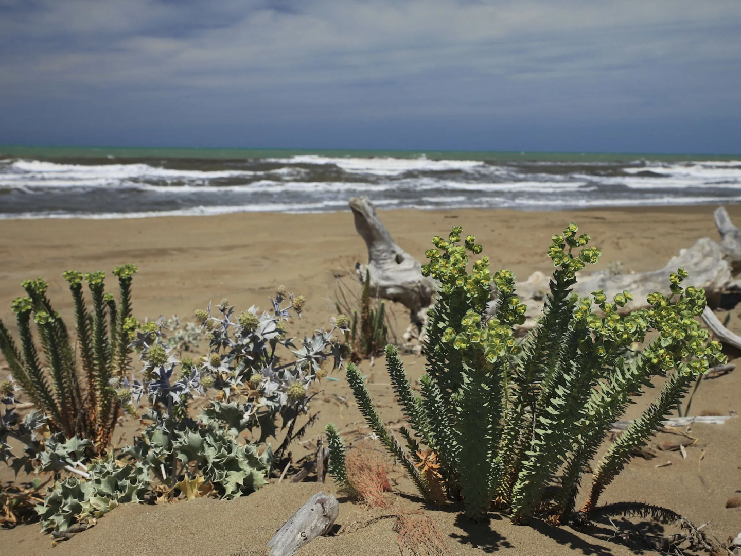 Villa Von Salis by Interhome