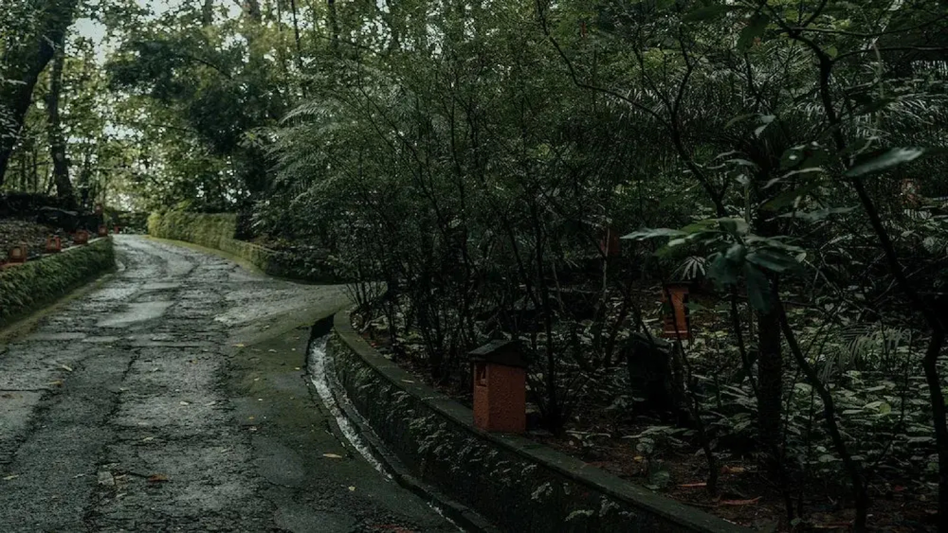 Wayanad Silverwoods Forest Resort & Spa