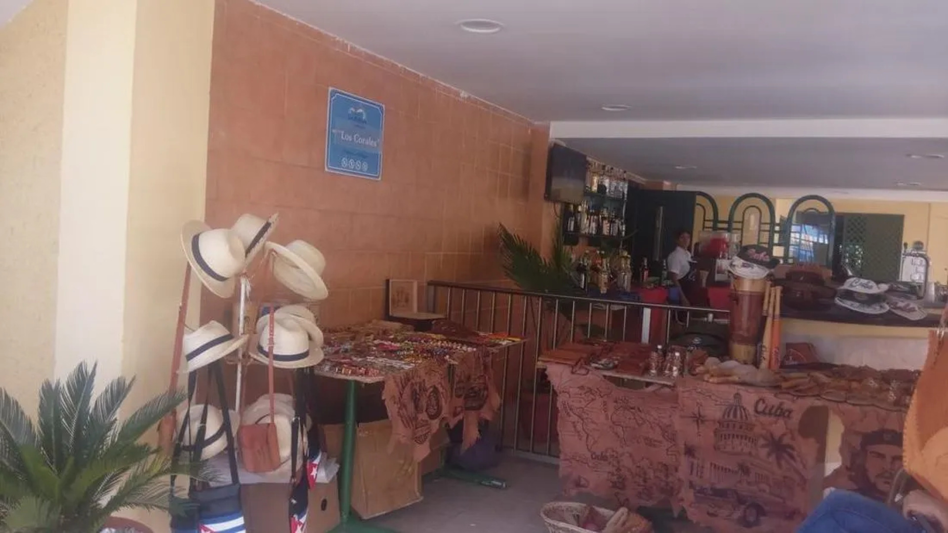 Islazul Los Delfines