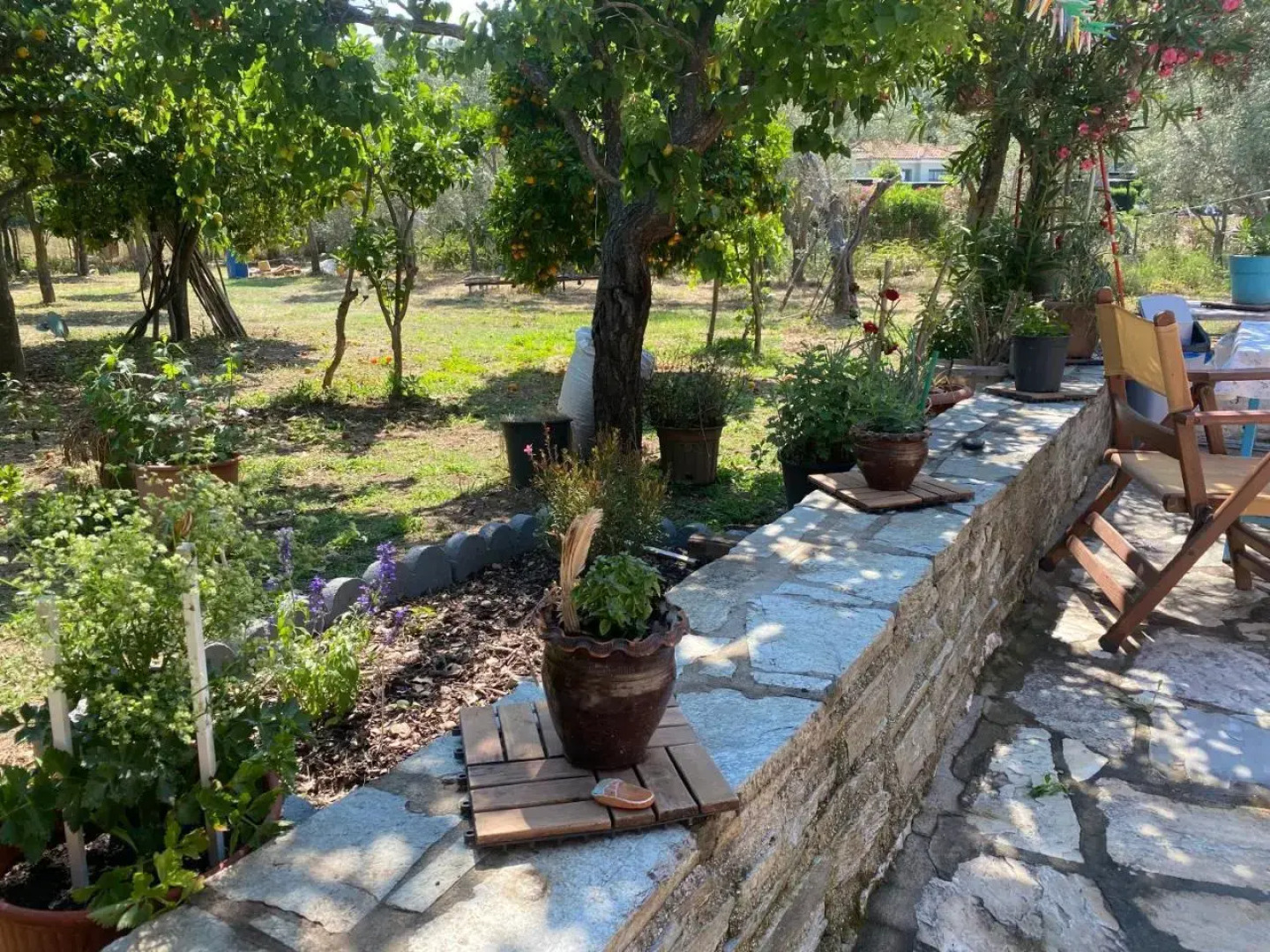 Tilemvi Seaside House Milina Pelion!!!