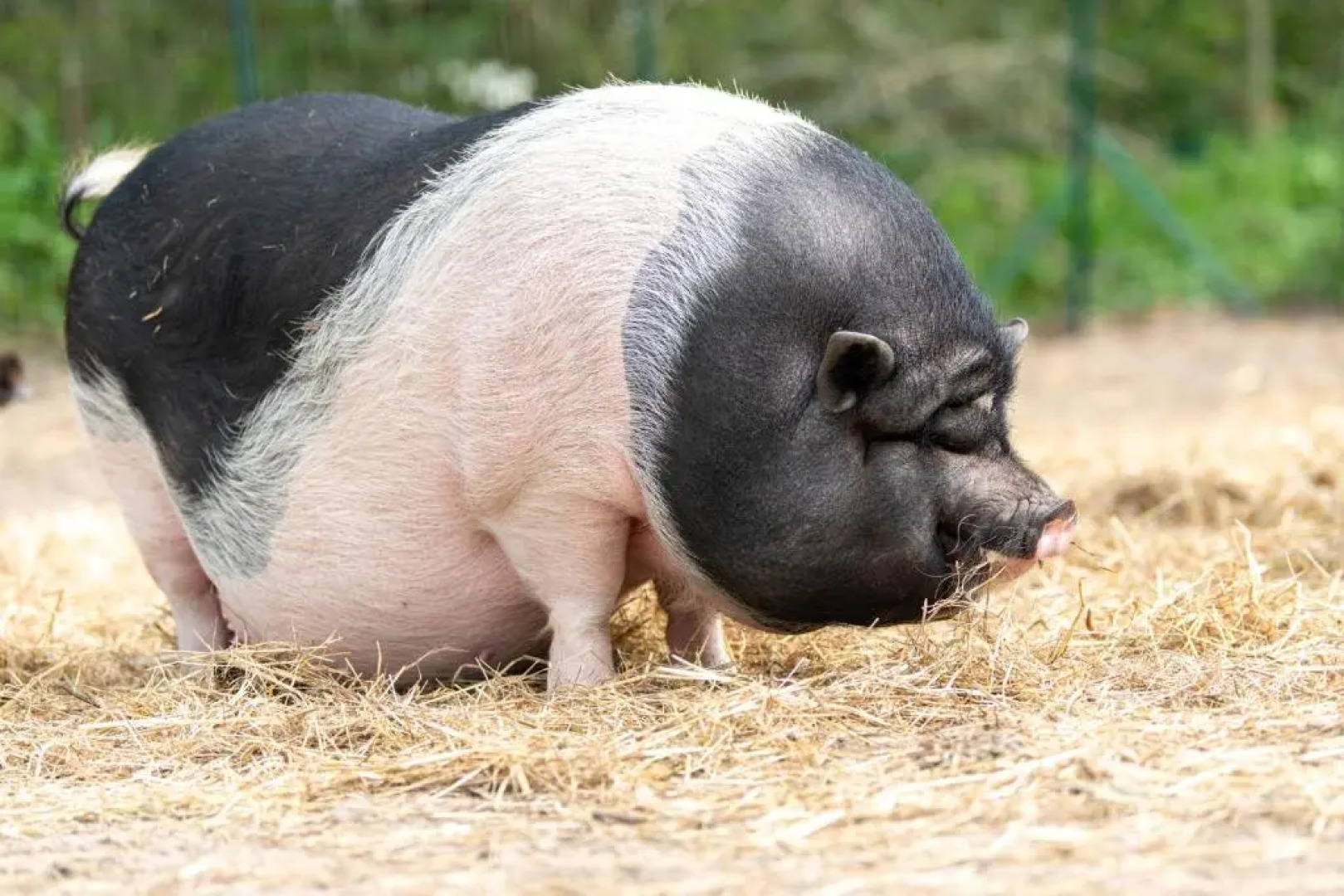 Camping les Carolins