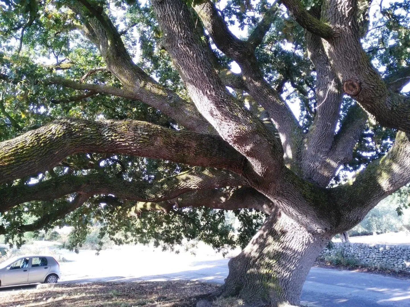 Ronnavona Casa Vacanze B&B