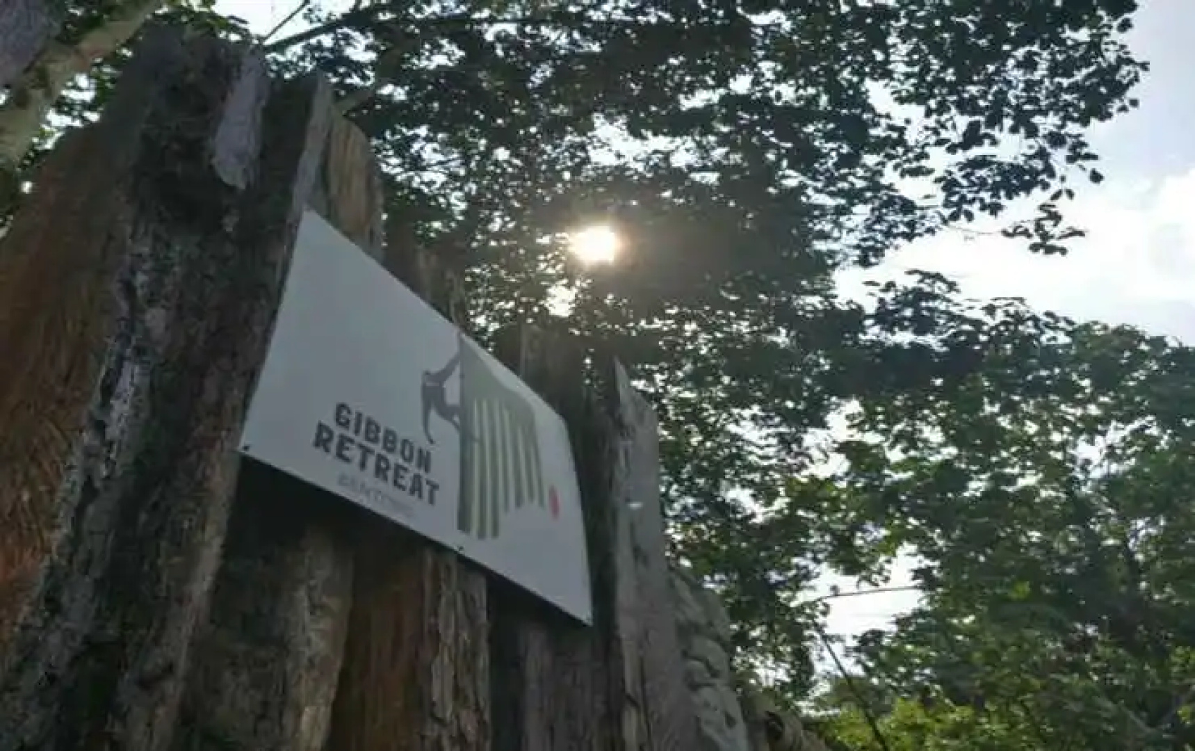 Gibbon Retreat Bentong