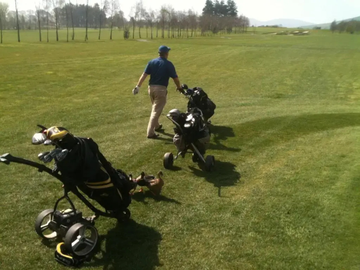 Oakdale, Templemore, E41f856