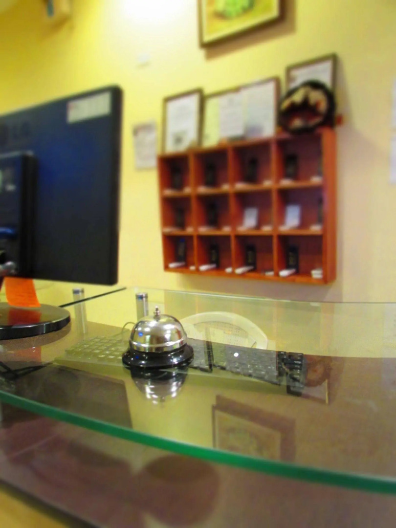 Palau Amazonas Hotel