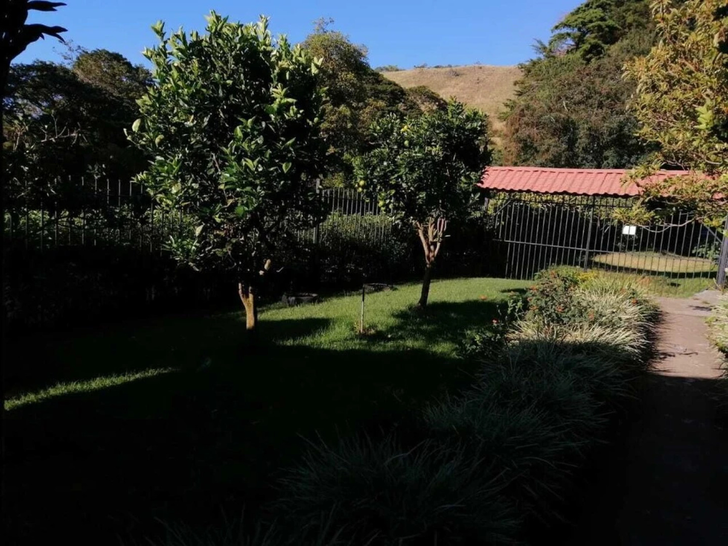 Sofi's Hostel Monteverde