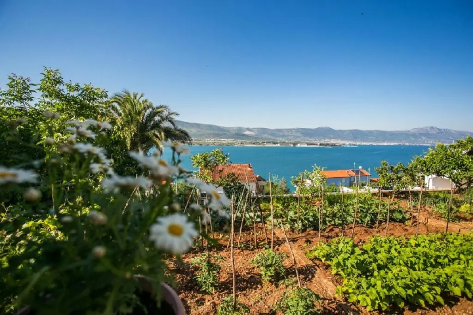 Apartment Marija - 60 m from beach