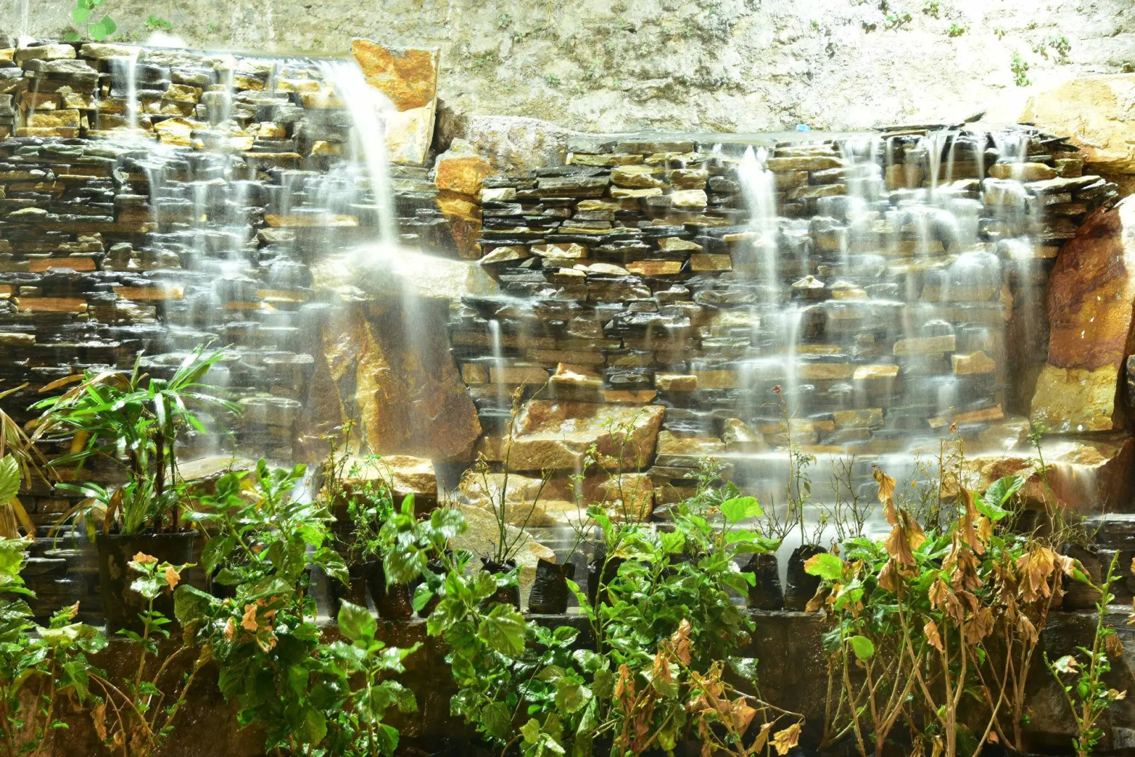 Xomotel Sunita Himalayan Paradise