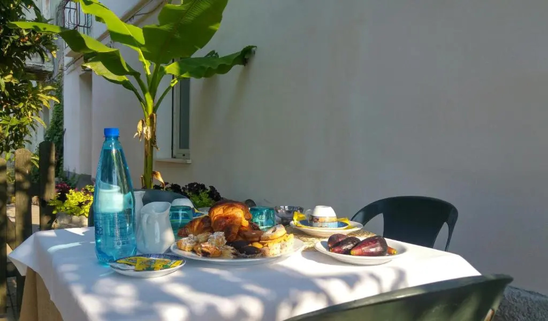 Il Giardino Fra Gli Ulivi