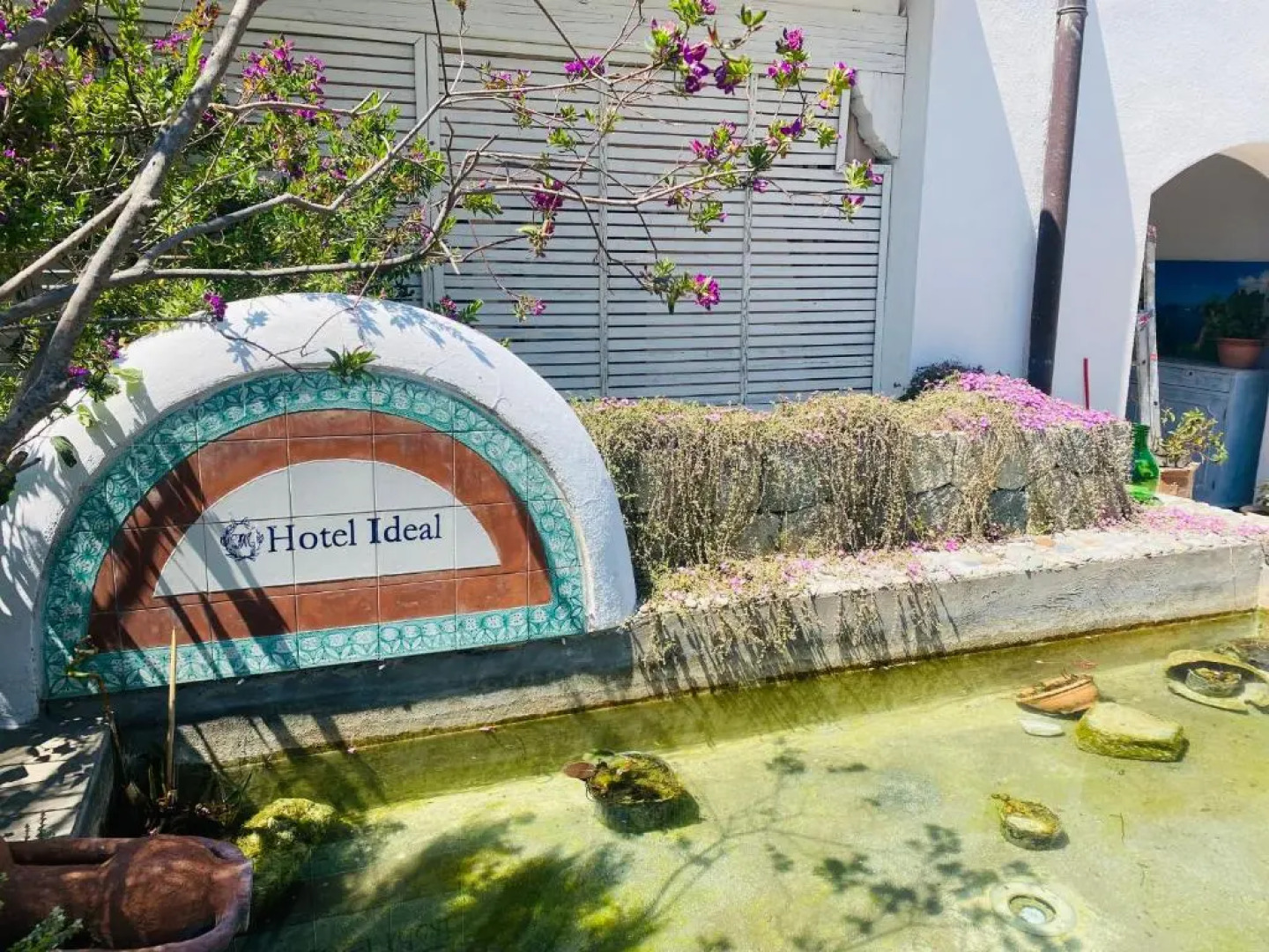 Hotel Boutique Ideal