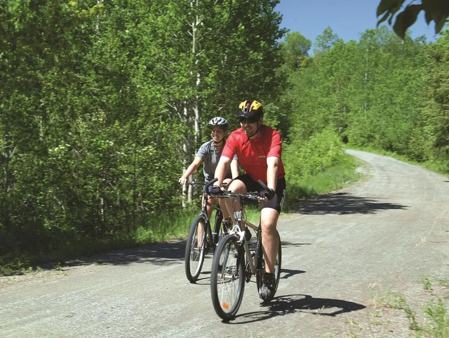 Отель Hotel Levesque