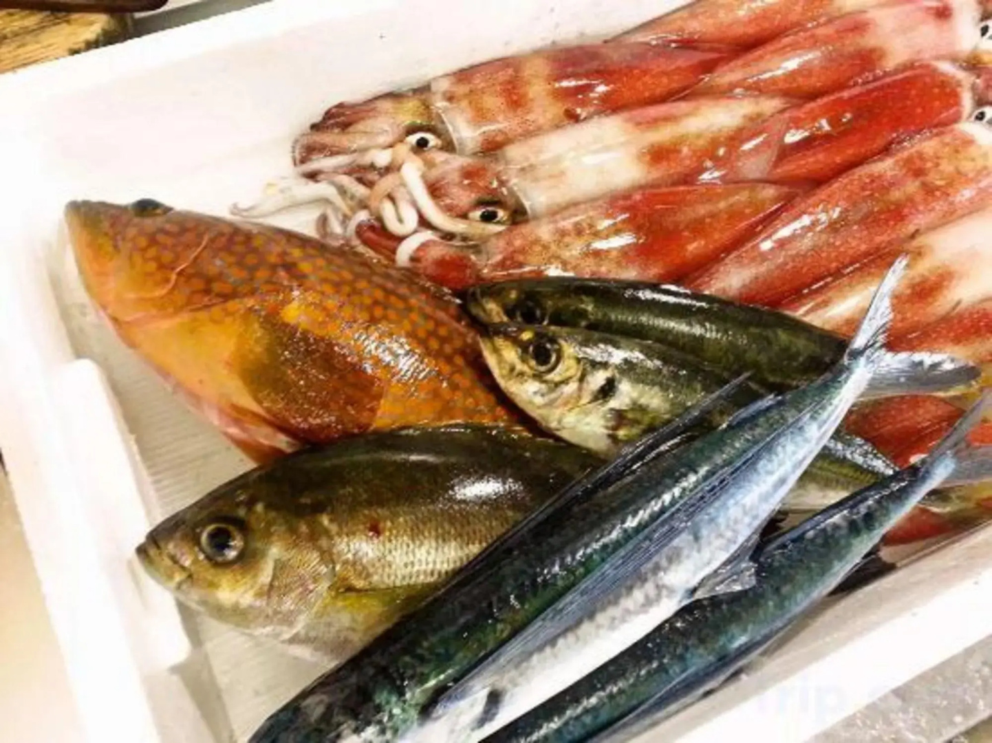 Hamasaka Onsen Umibenooyado Marubun