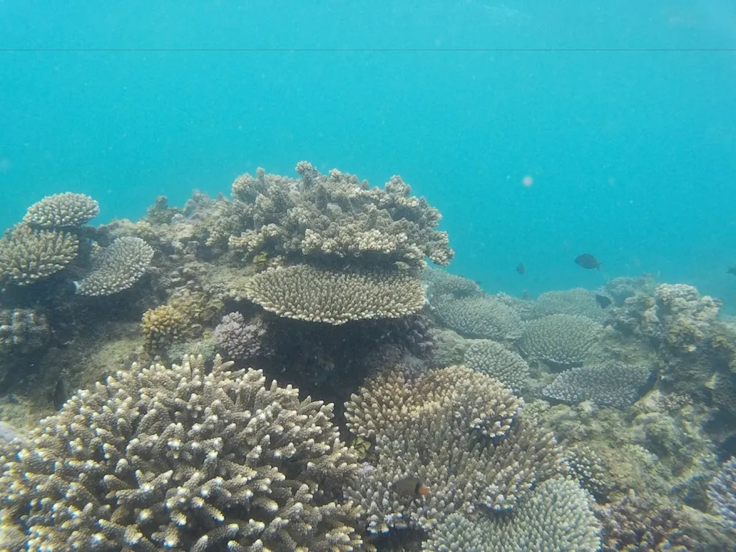 Laguna Blu - Resort Madagascar