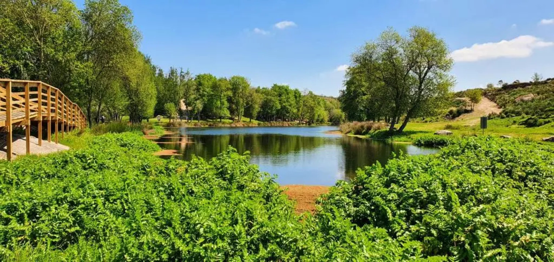 Azevinho Guest House