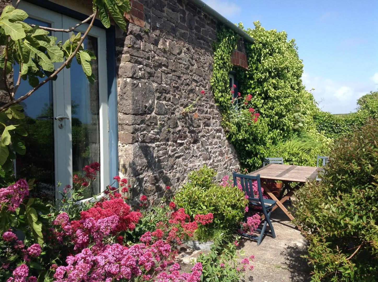 Potato, Barafundle Barns, SA71 5LS