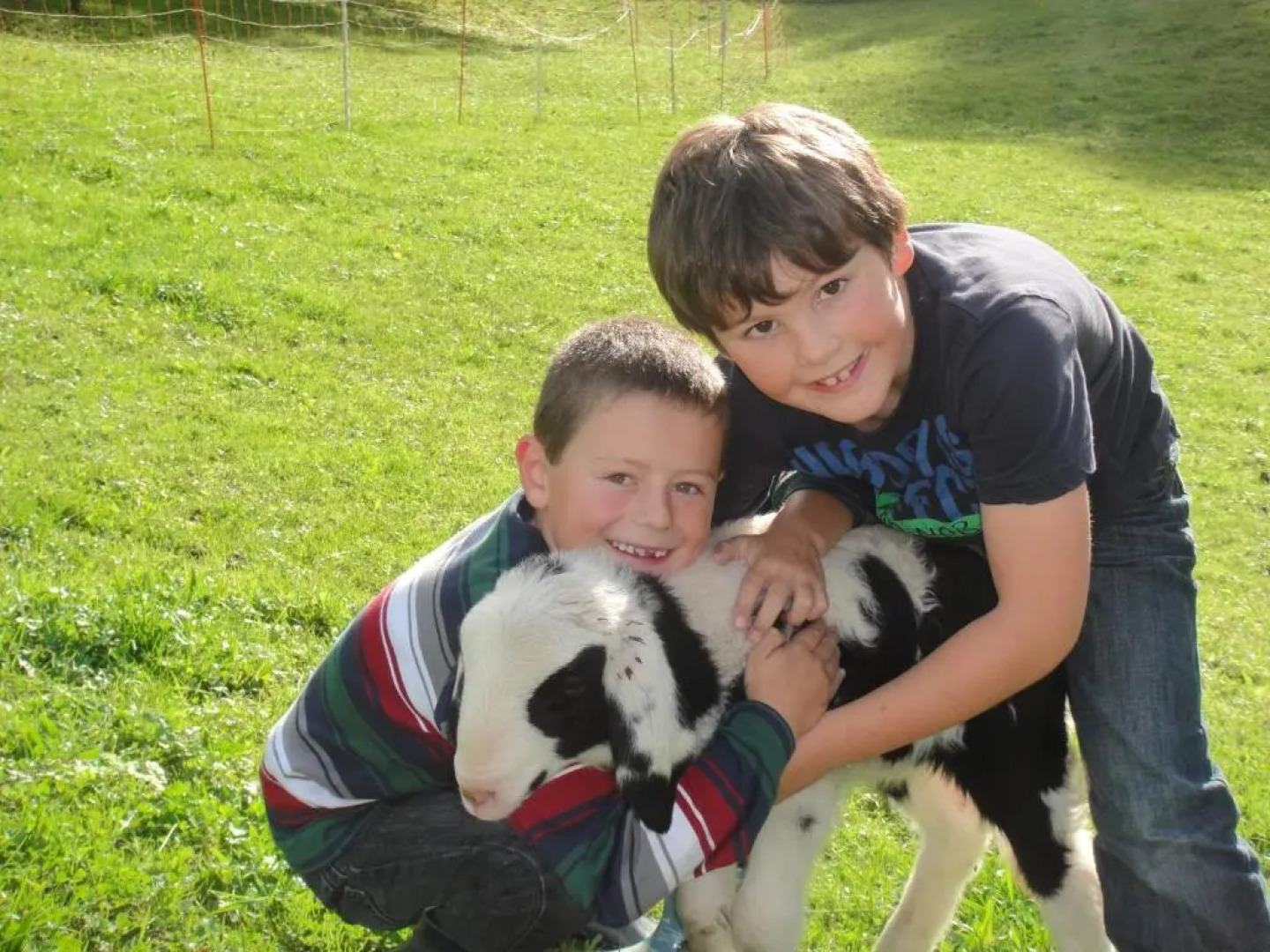 Ferienwohnung Walkner