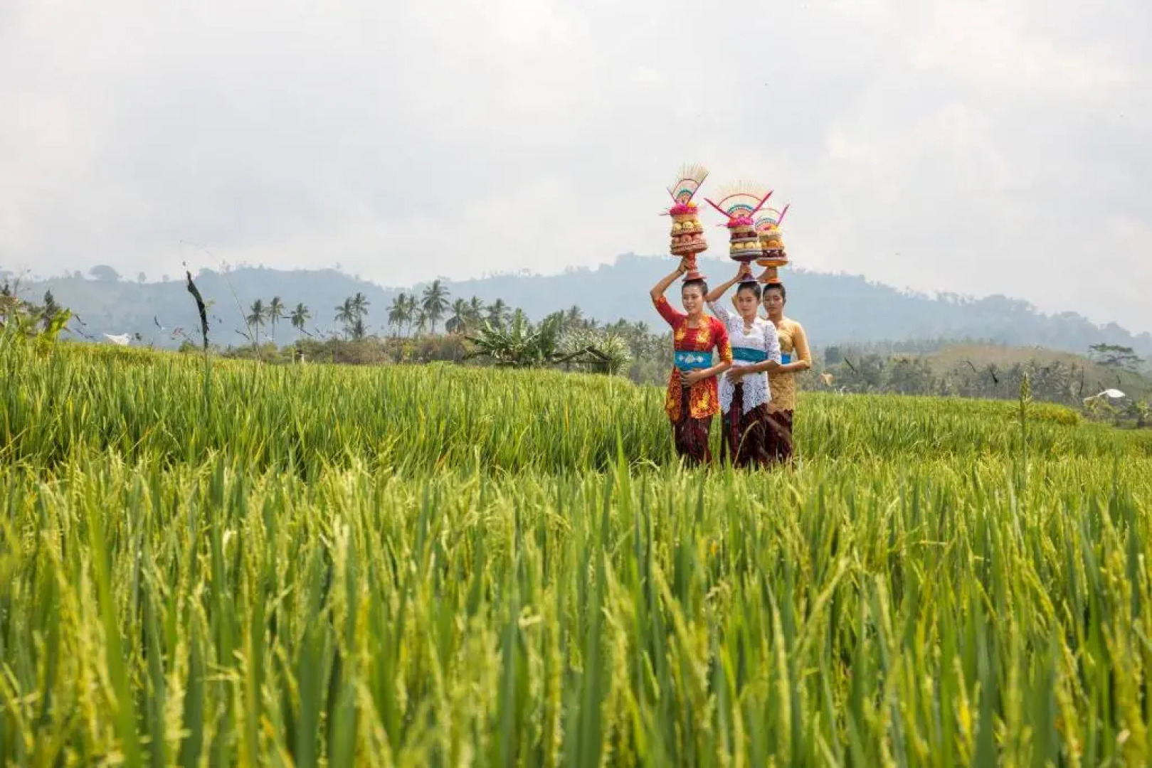 Kelapa Retreat & Spa