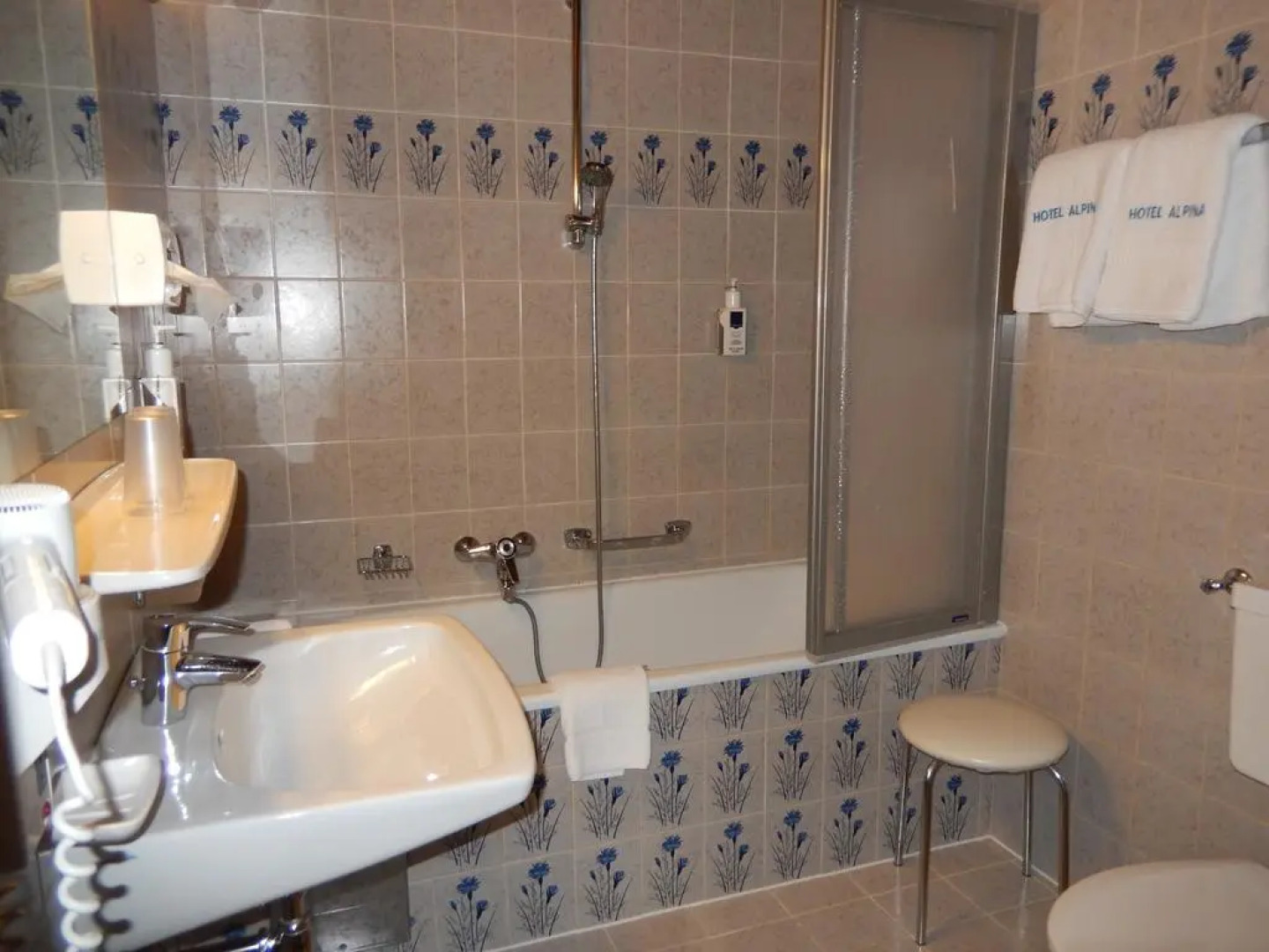 Kur- und Sporthotel Alpina - Hotel Alpina