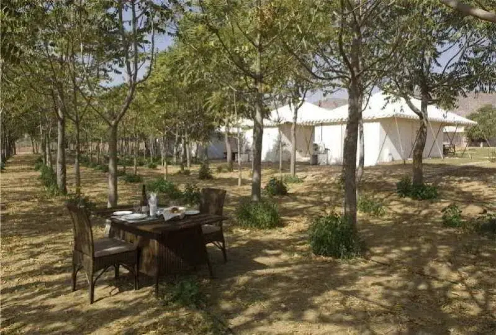 The Greenhouse Resort