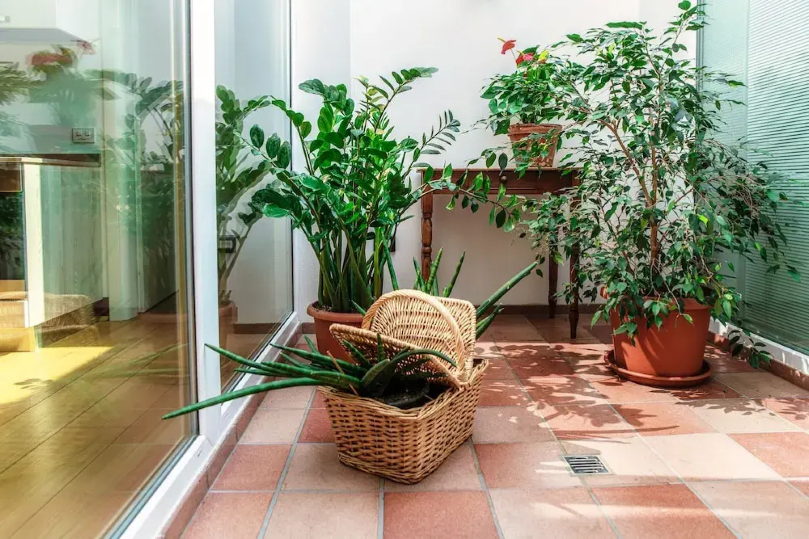 Guesthouse Castello di Brusata