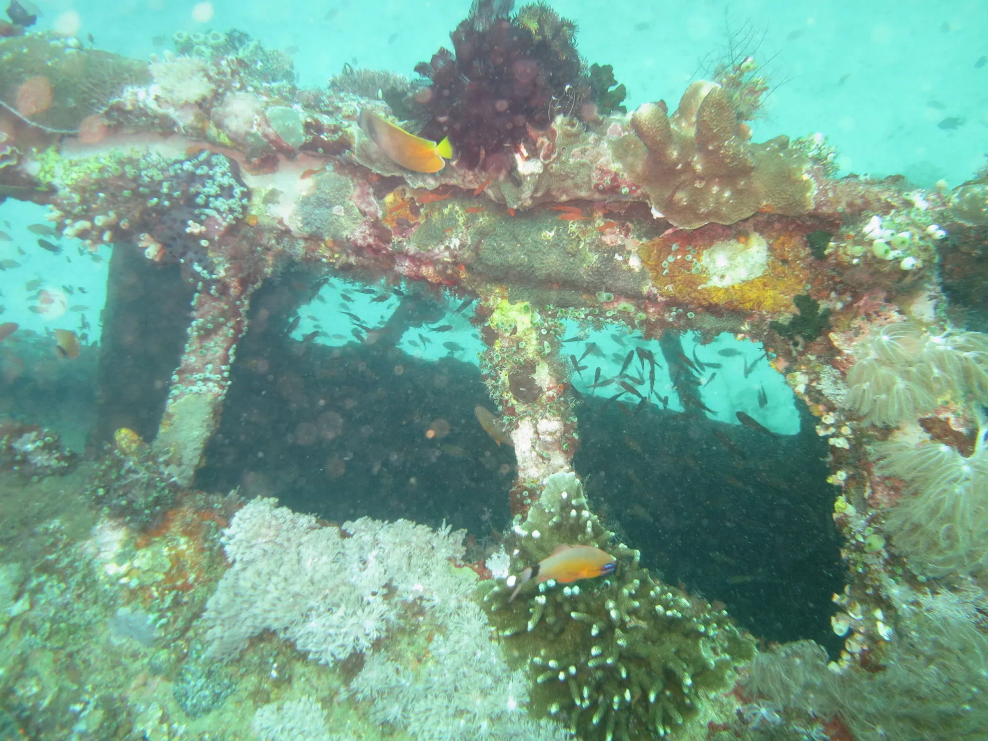 BADLADZ Beach and Dive Resort