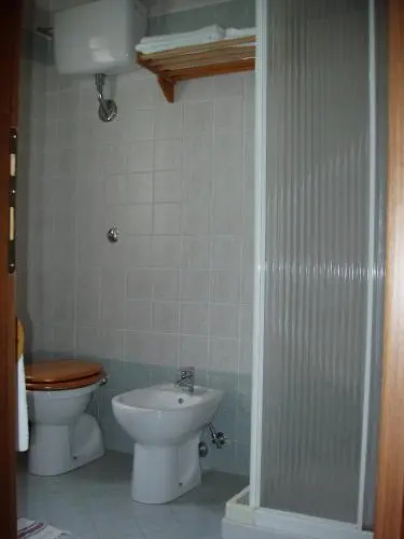 Carrera Della Regina