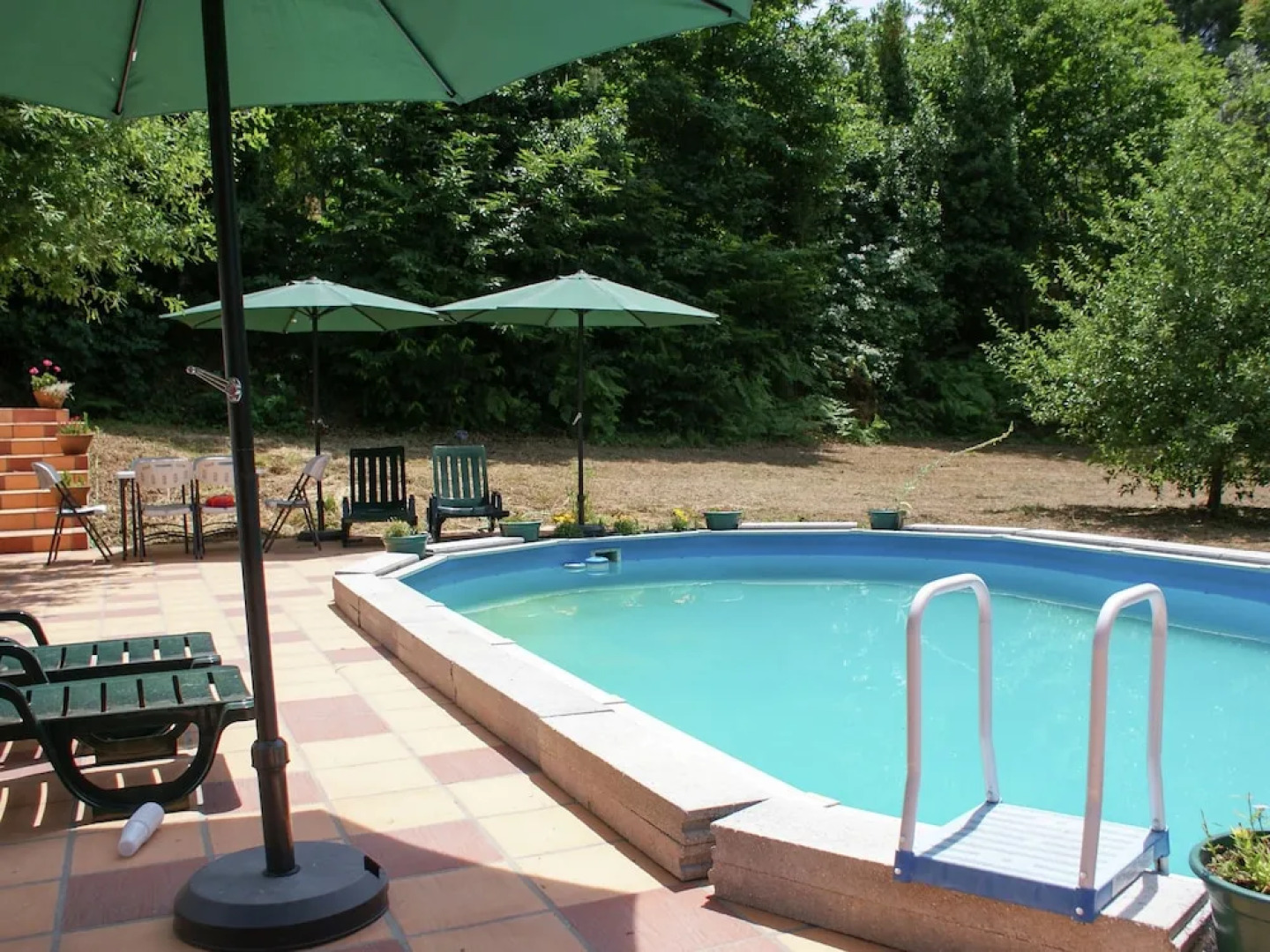 Charming House on the Plot