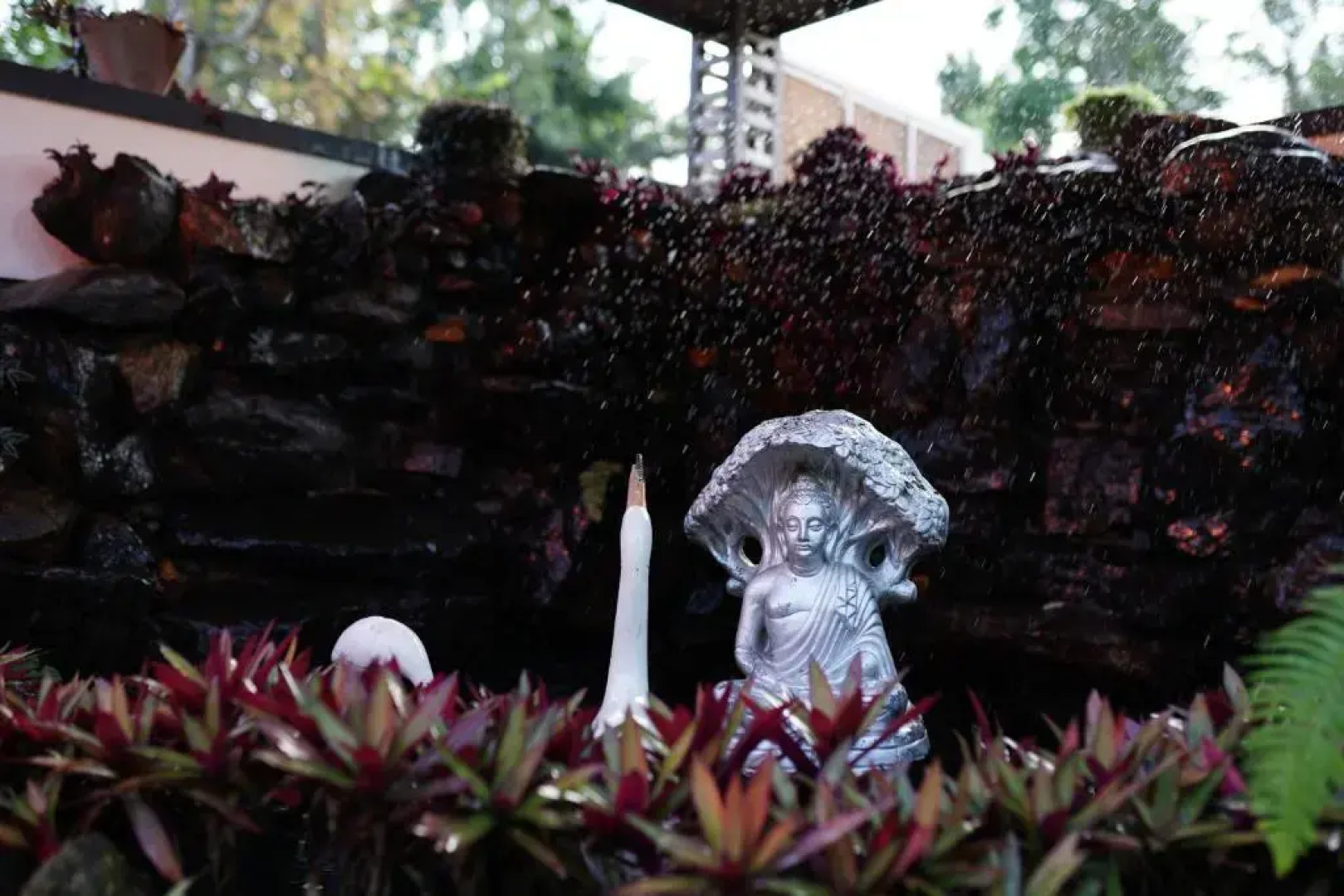 Srinikethana Home Stay with Swimming Pool