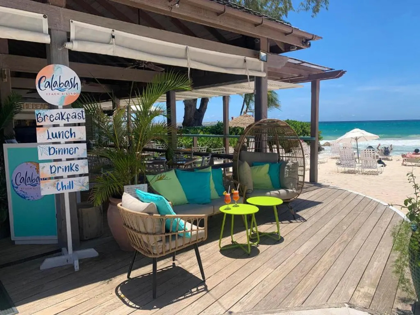 Bougainvillea Barbados