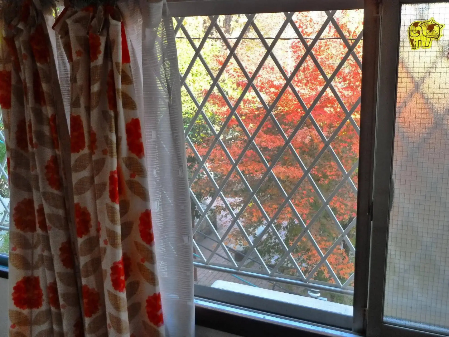 Guesthouse Neko Neko – Hostel