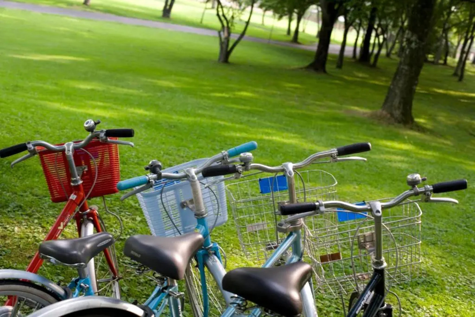 Karuizawa Prince Hotel West