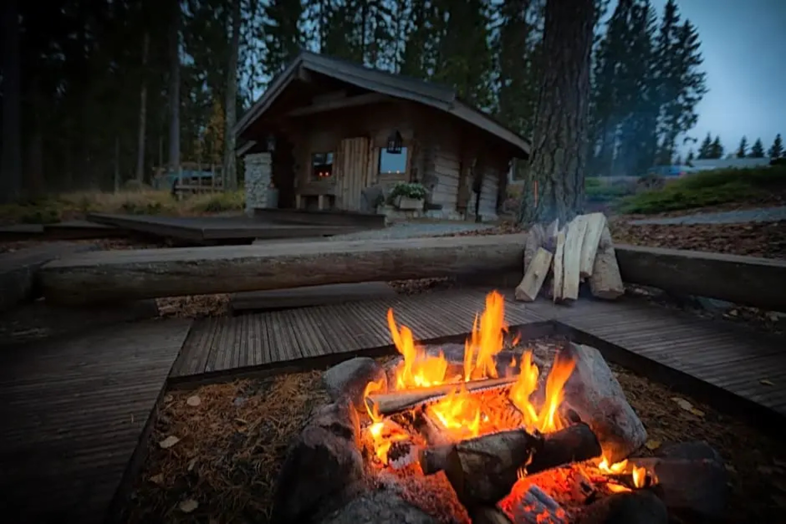 Koivulahden Rapukartano