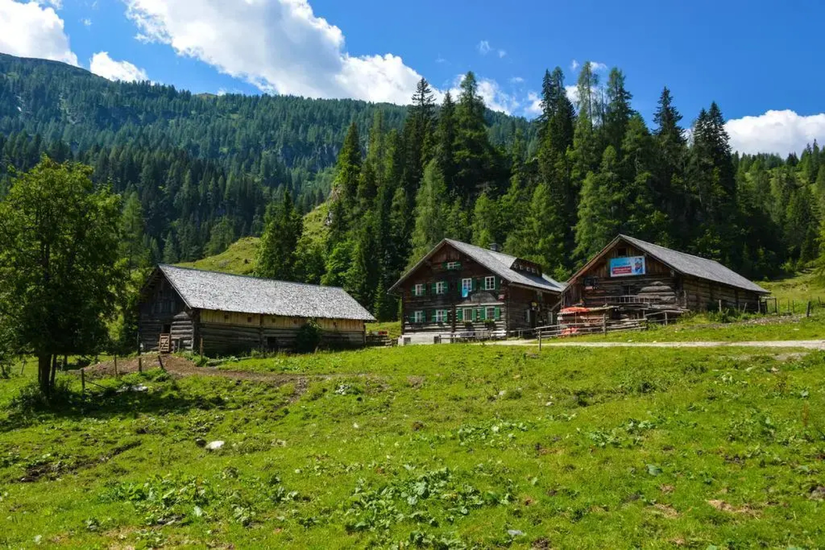 Schmiedlehenalm