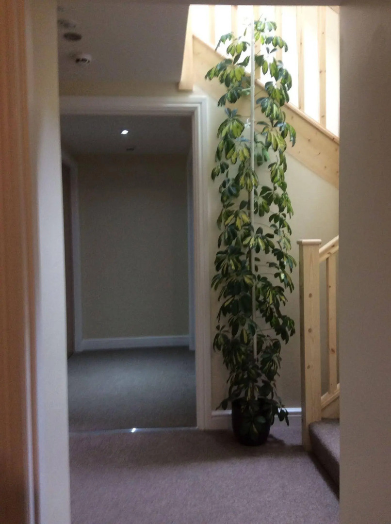 A Castle View Bed and Breakfast