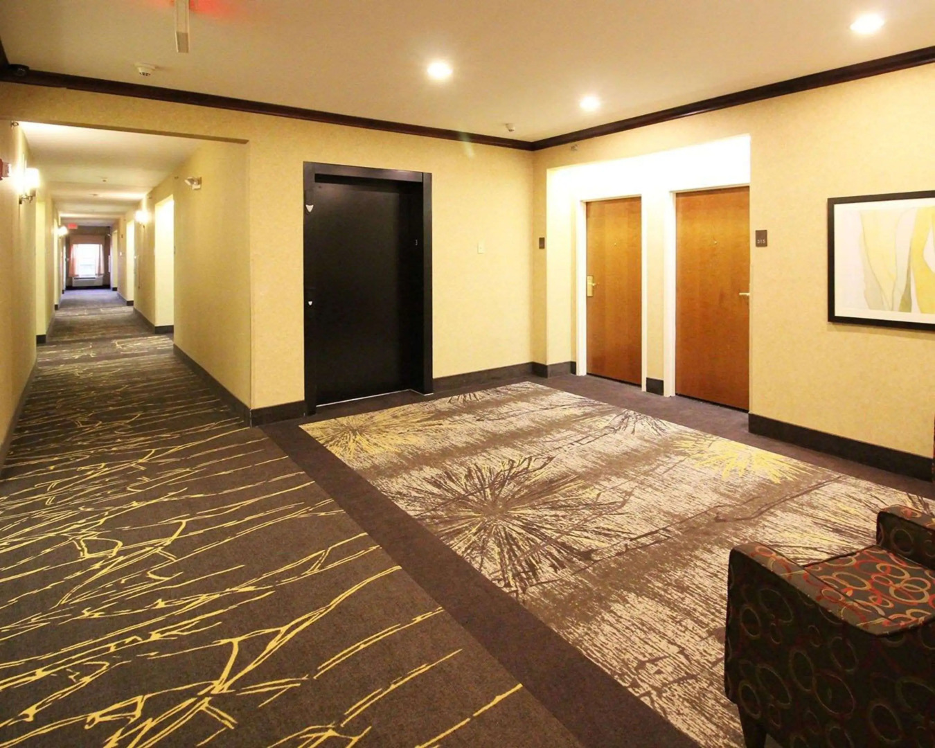 Comfort Suites Near University