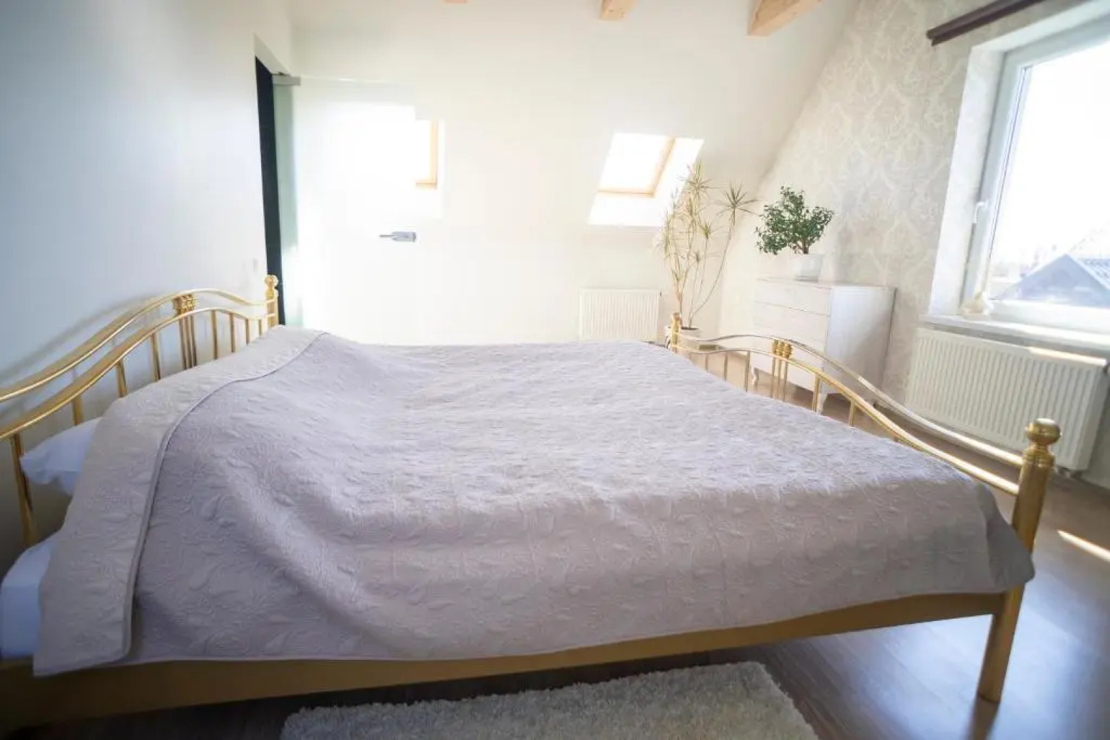 Svečių namai Lanko g.