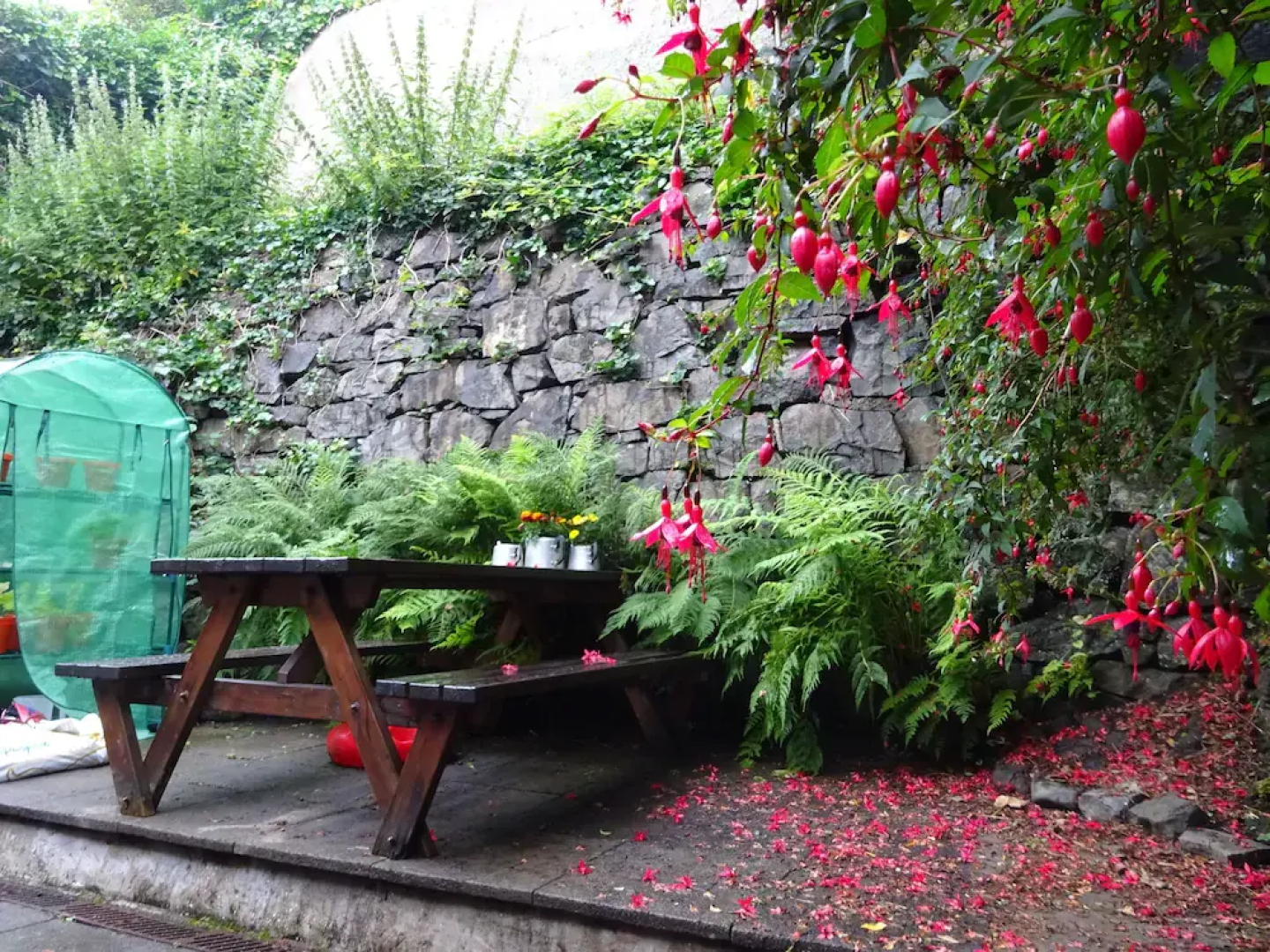 SYHA Tobermory - Hostel