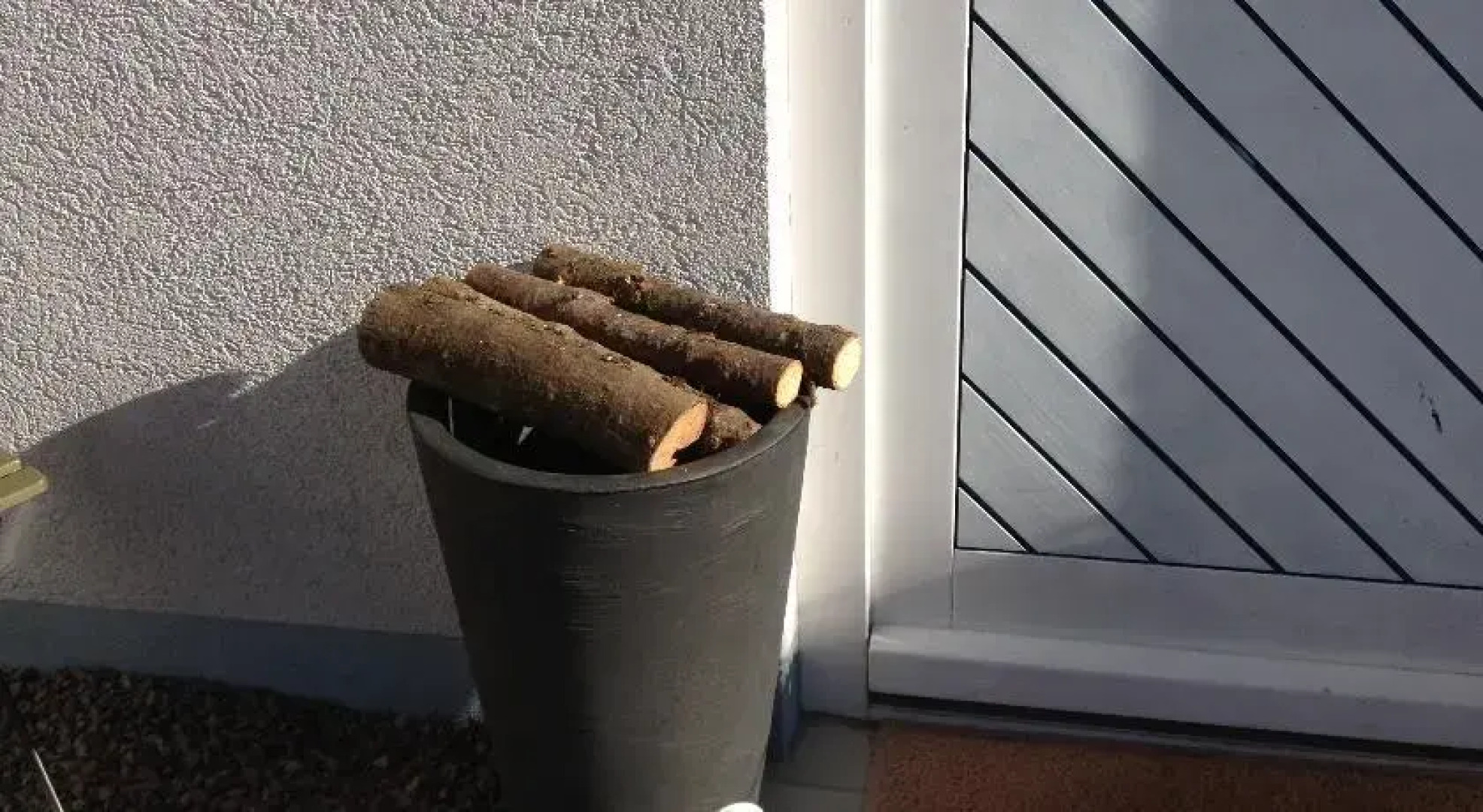 Ferienhaus Schienberg