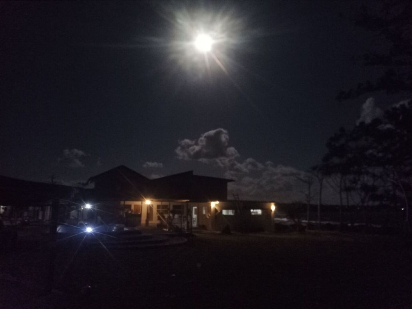 Bluepango Guest House  Hostel