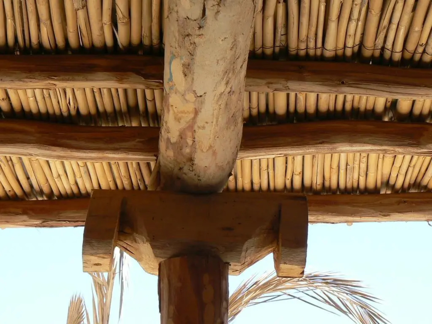 Les Terrasses de l Atlas