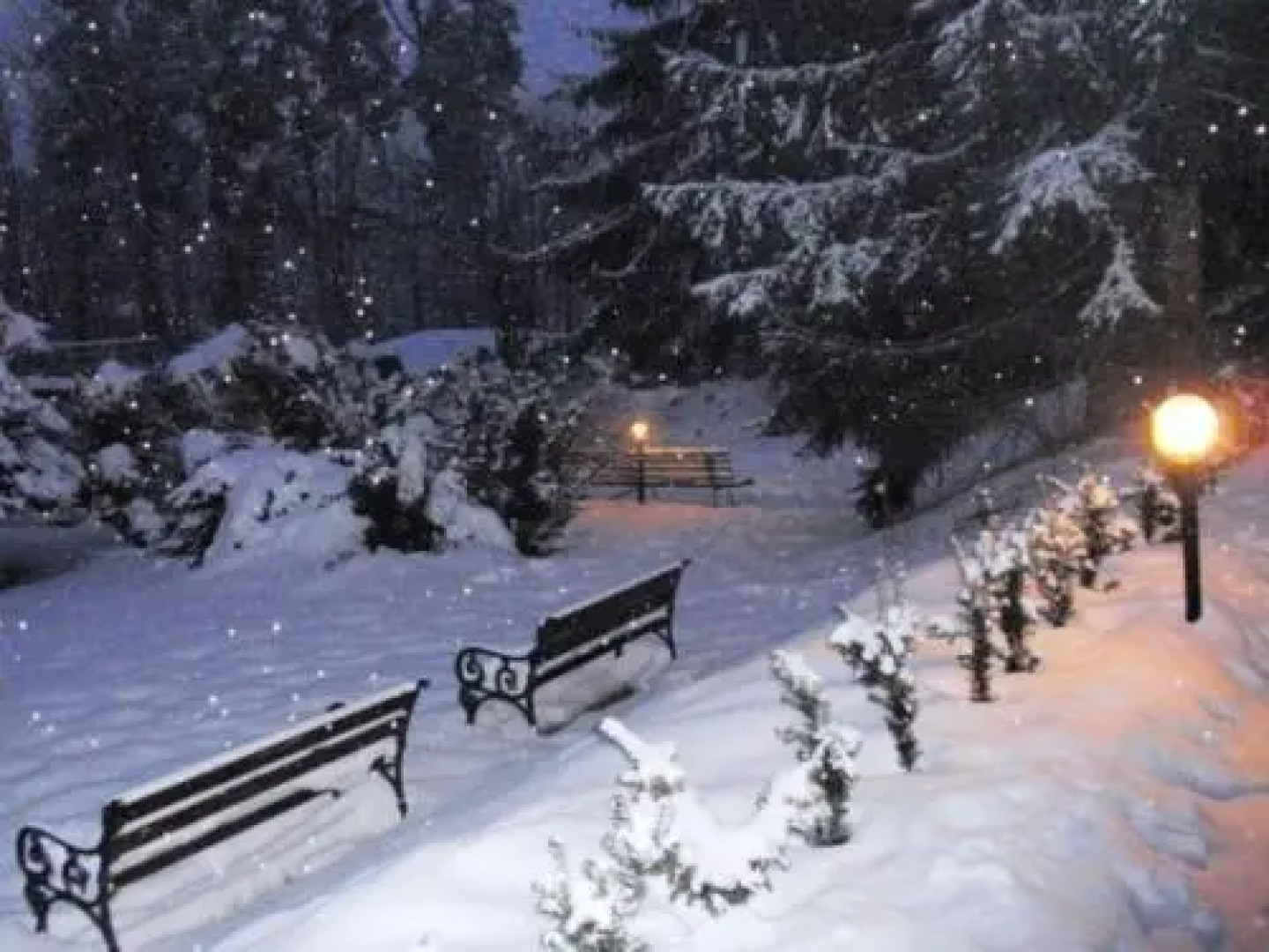 Pensjonat Światowid