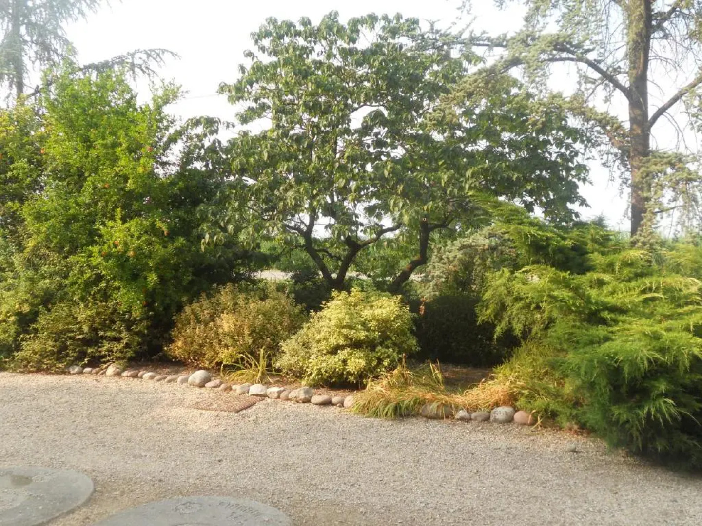 Agriturismo Boaria Bassa